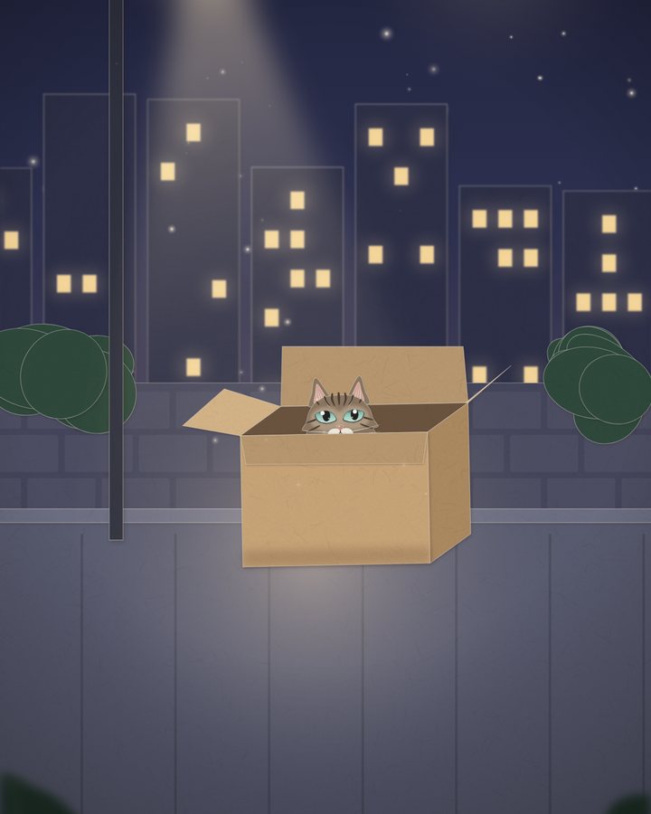 夜裡路燈下的紙箱