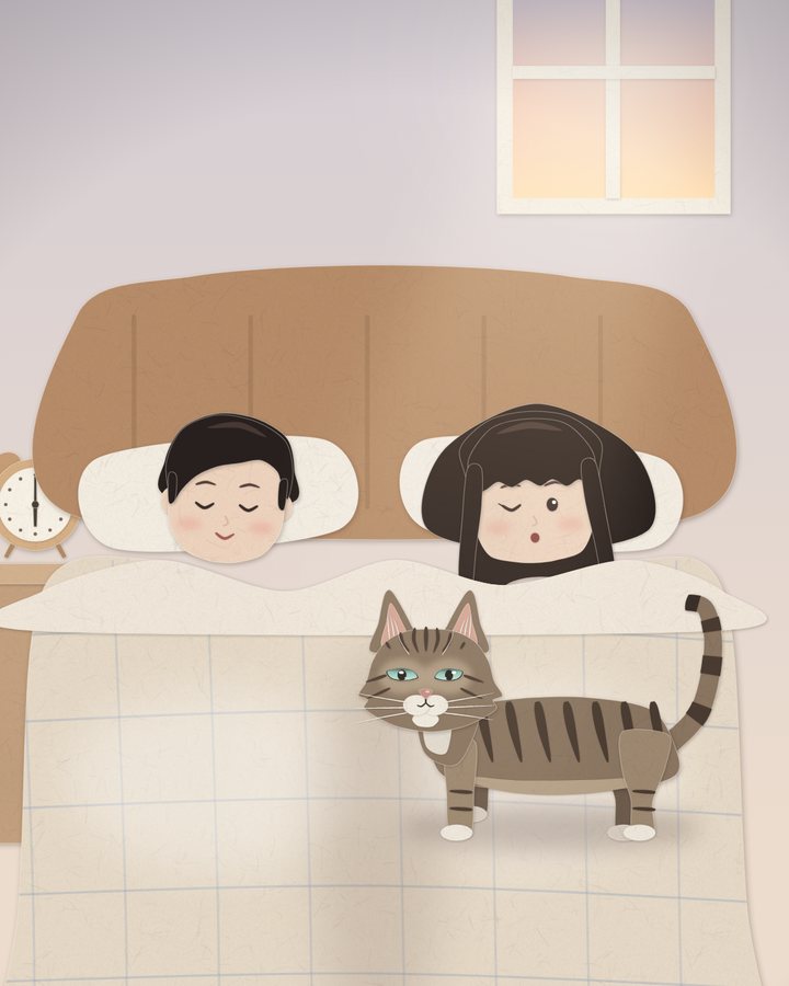 早上黑醬站在琦琦肚子上